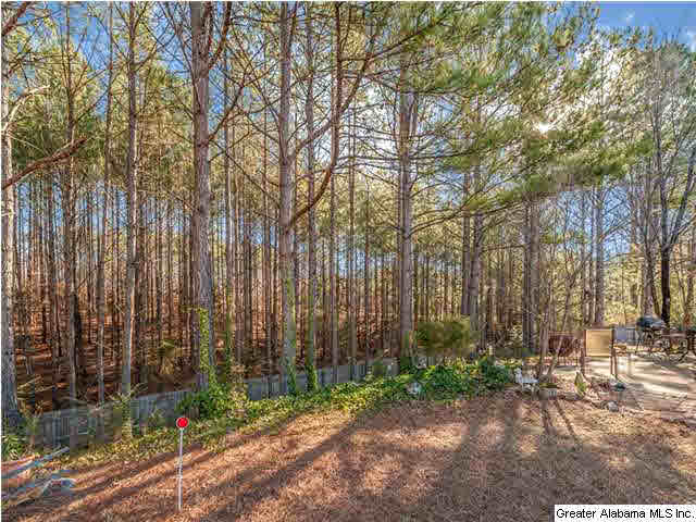 208 Creden Circle Alabaster, AL 35007 - Photo 30 of 31