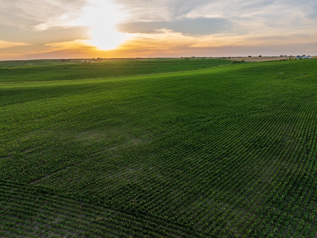 64919 Yankton Road Villisca, IA 50864 - Photo 23 of 90