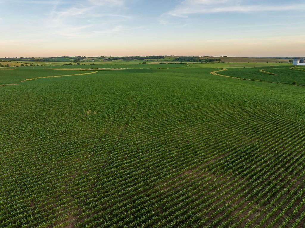 64919 Yankton Road Villisca, IA 50864 - Photo 29 of 90