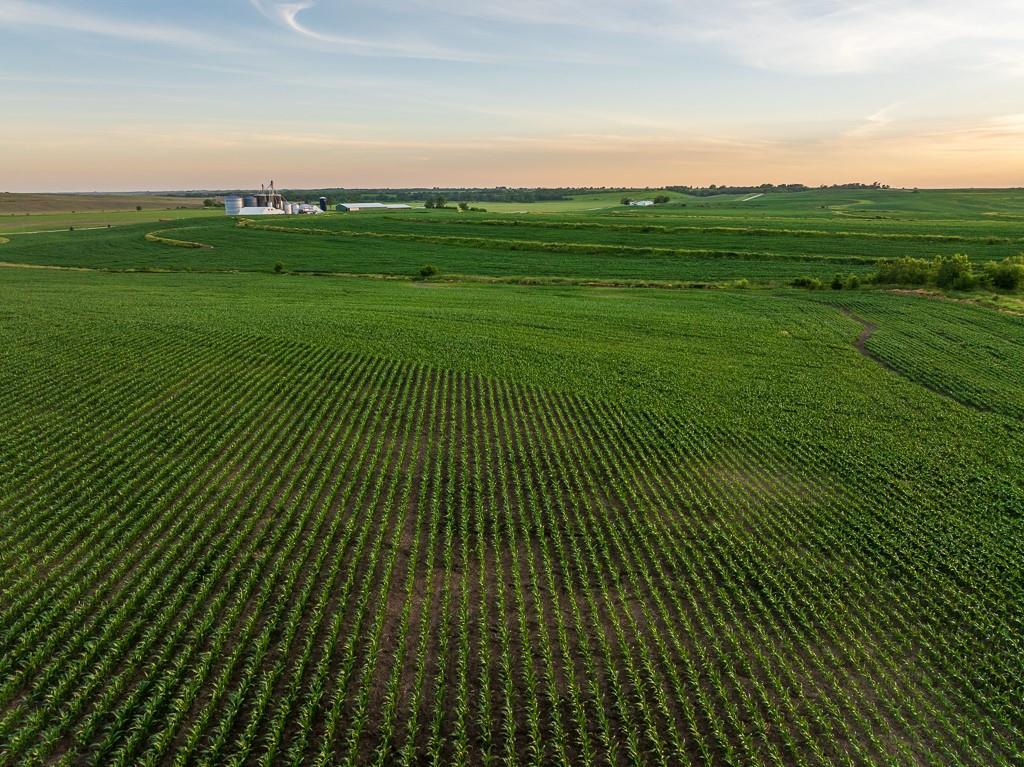 64919 Yankton Road Villisca, IA 50864 - Photo 30 of 90