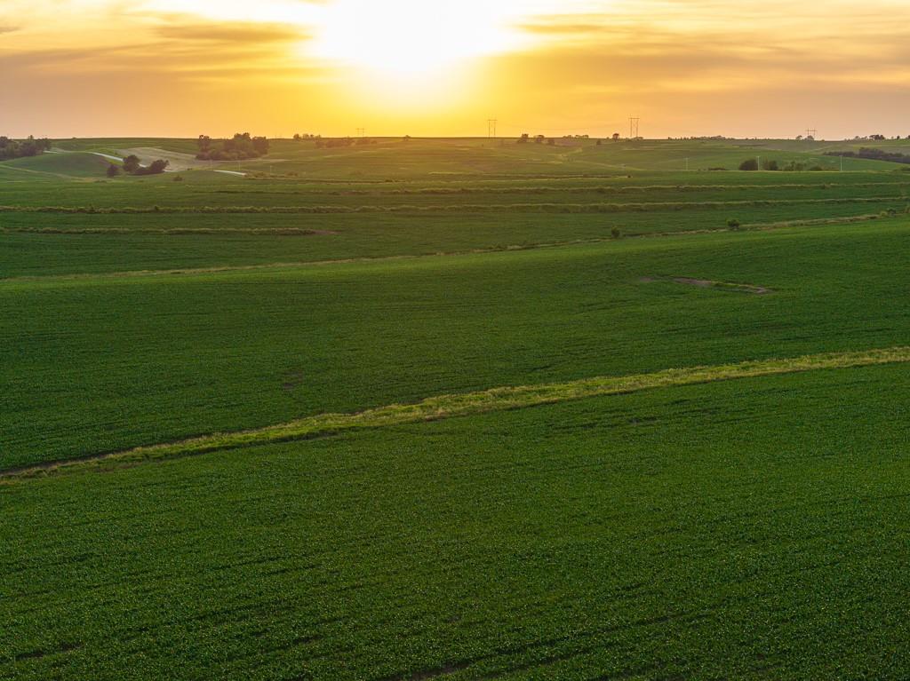 64919 Yankton Road Villisca, IA 50864 - Photo 31 of 90