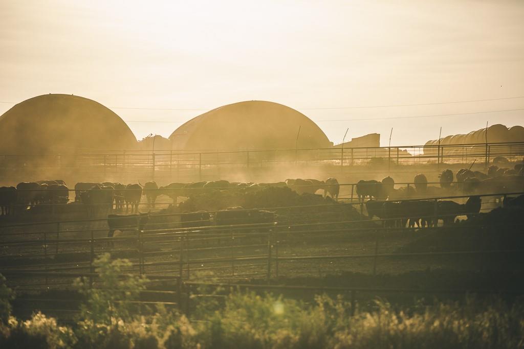 64919 Yankton Road Villisca, IA 50864 - Photo 34 of 90