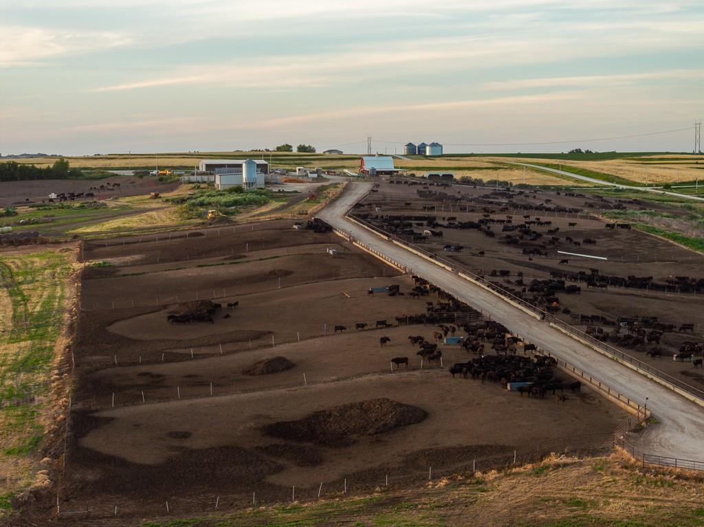 64919 Yankton Road Villisca, IA 50864 - Photo 35 of 90