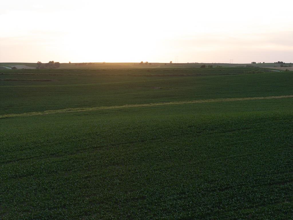 64919 Yankton Road Villisca, IA 50864 - Photo 37 of 90