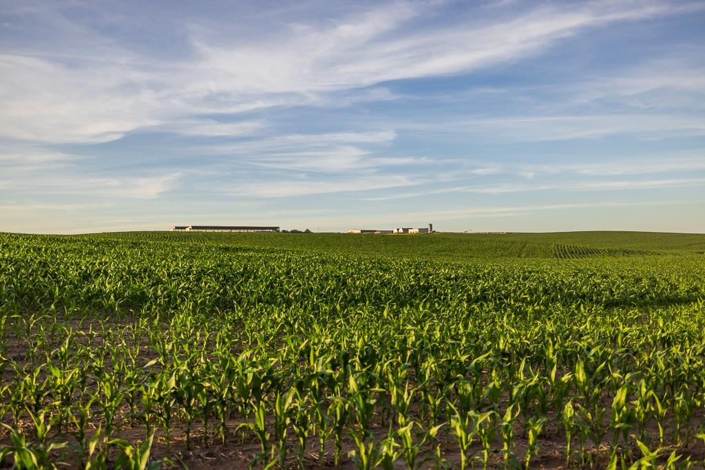 64919 Yankton Road Villisca, IA 50864 - Photo 38 of 90
