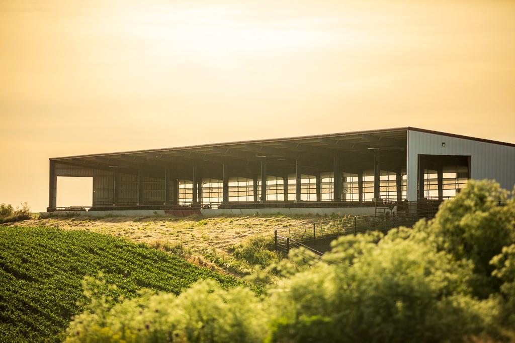 64919 Yankton Road Villisca, IA 50864 - Photo 6 of 90