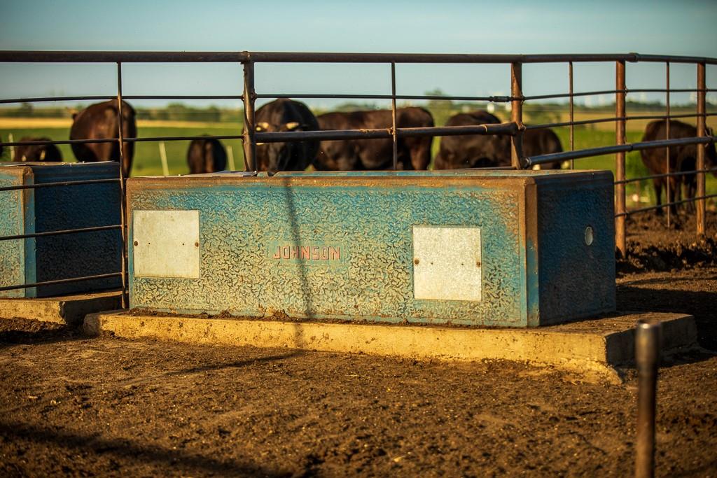 64919 Yankton Road Villisca, IA 50864 - Photo 68 of 90