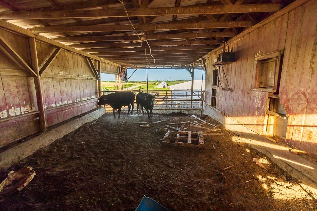 64919 Yankton Road Villisca, IA 50864 - Photo 76 of 90