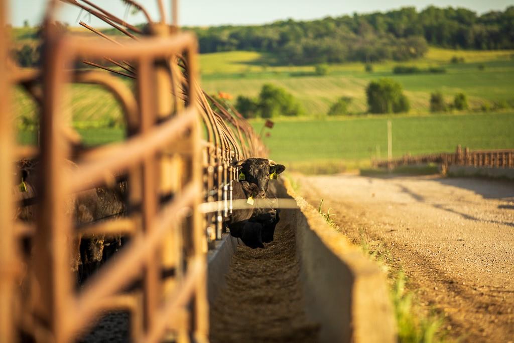 64919 Yankton Road Villisca, IA 50864 - Photo 81 of 90
