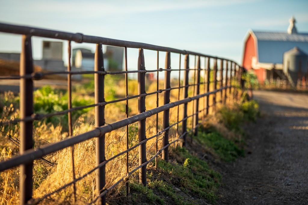 64919 Yankton Road Villisca, IA 50864 - Photo 82 of 90
