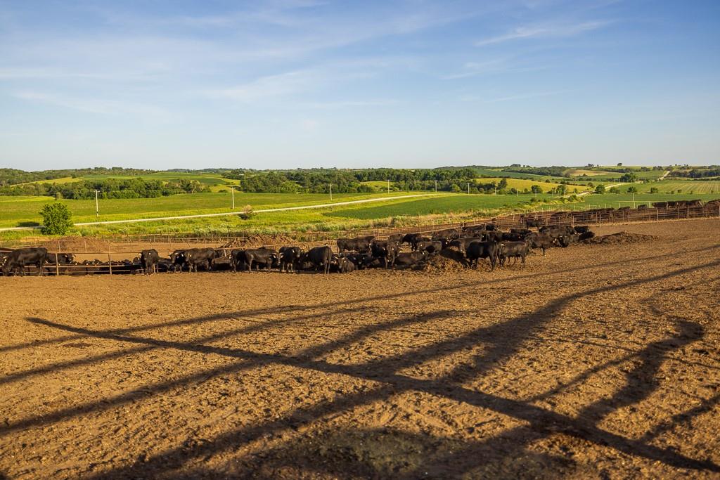 64919 Yankton Road Villisca, IA 50864 - Photo 84 of 90