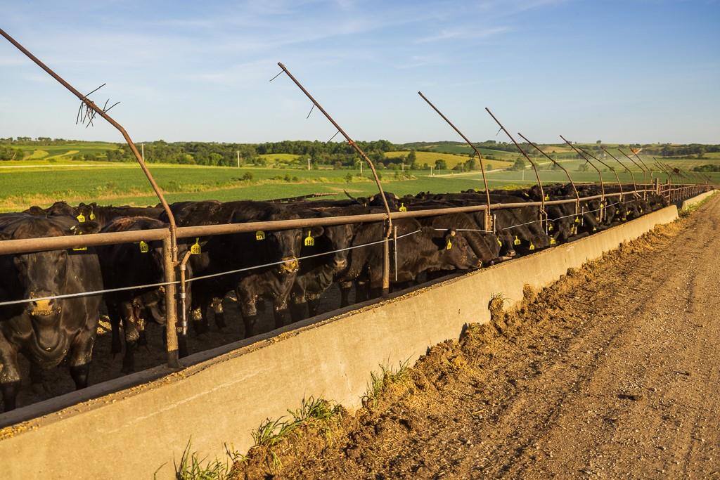 64919 Yankton Road Villisca, IA 50864 - Photo 87 of 90