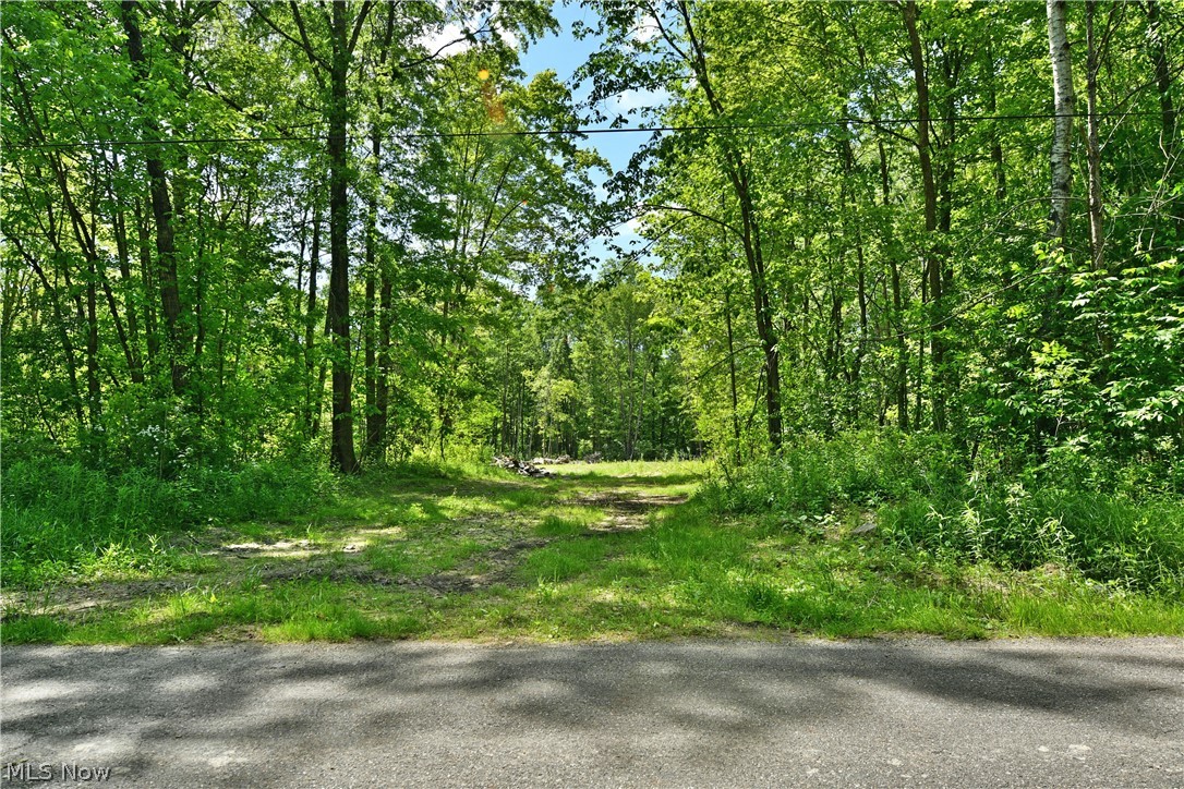 Mahan Denman Road Bristolville, OH 44402 - Photo 20 of 20