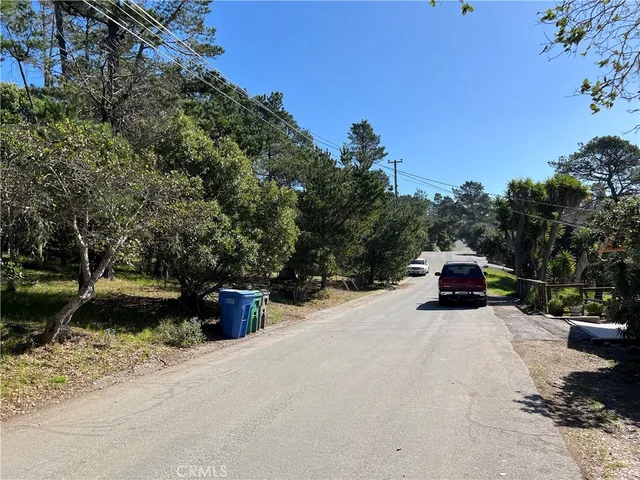 a view of a yard with plants and trees
