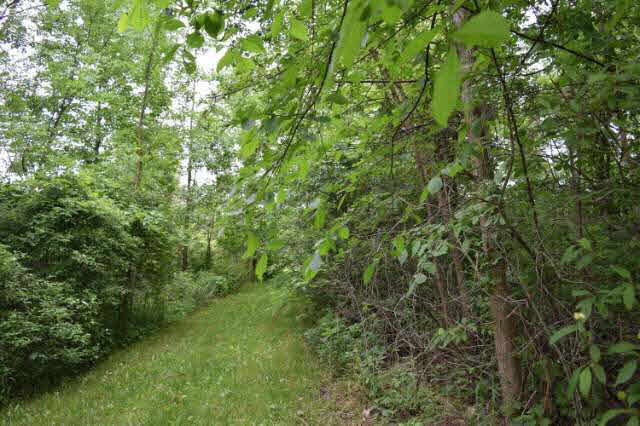 10205 Sharp Road Swartz Creek, MI 48473 - Photo 72 of 80 21178279-71.JPG
