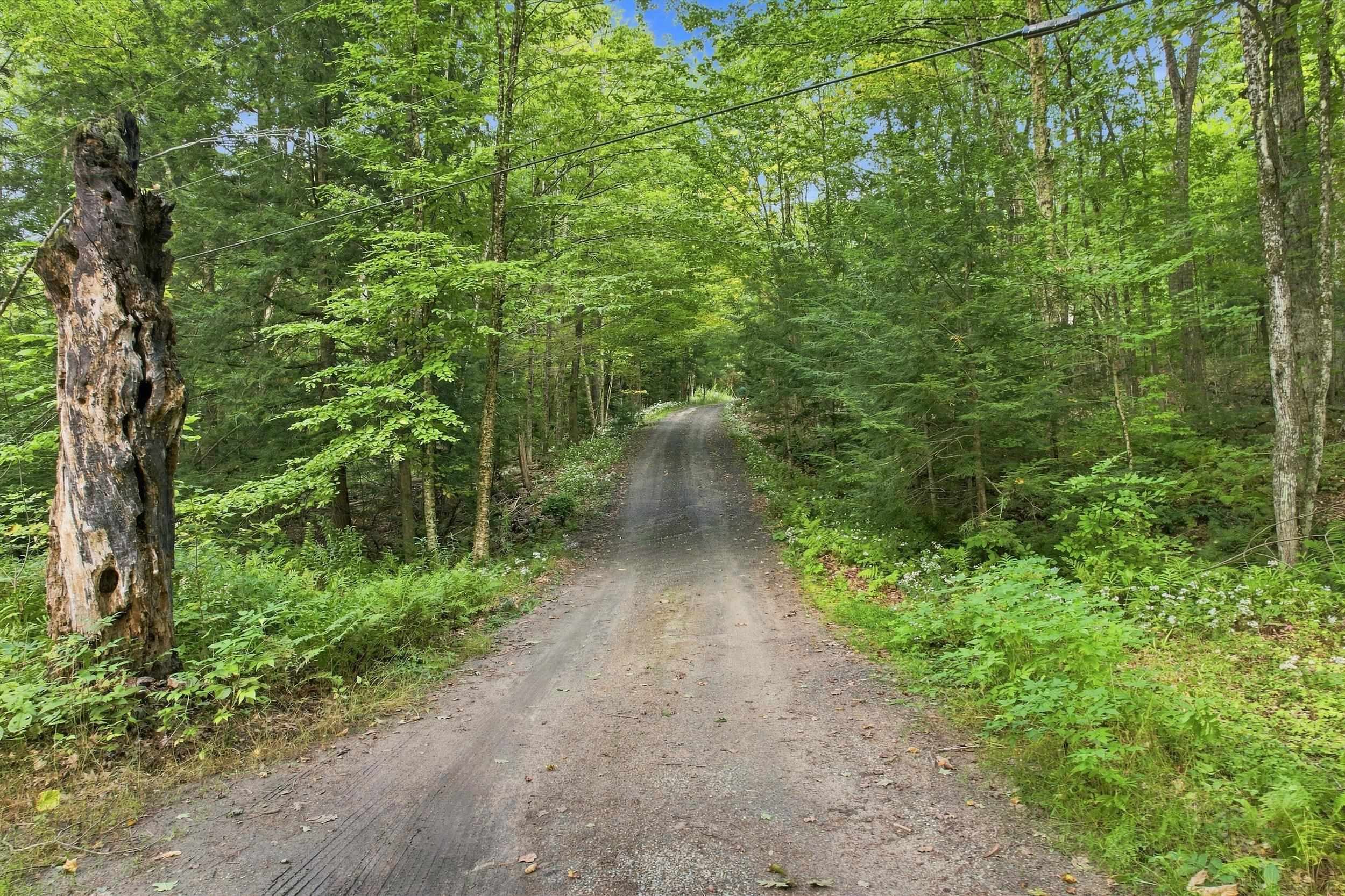 79 South Woods Road Gilsum, NH 03448 - Photo 37 of 43 Gallery Image 37