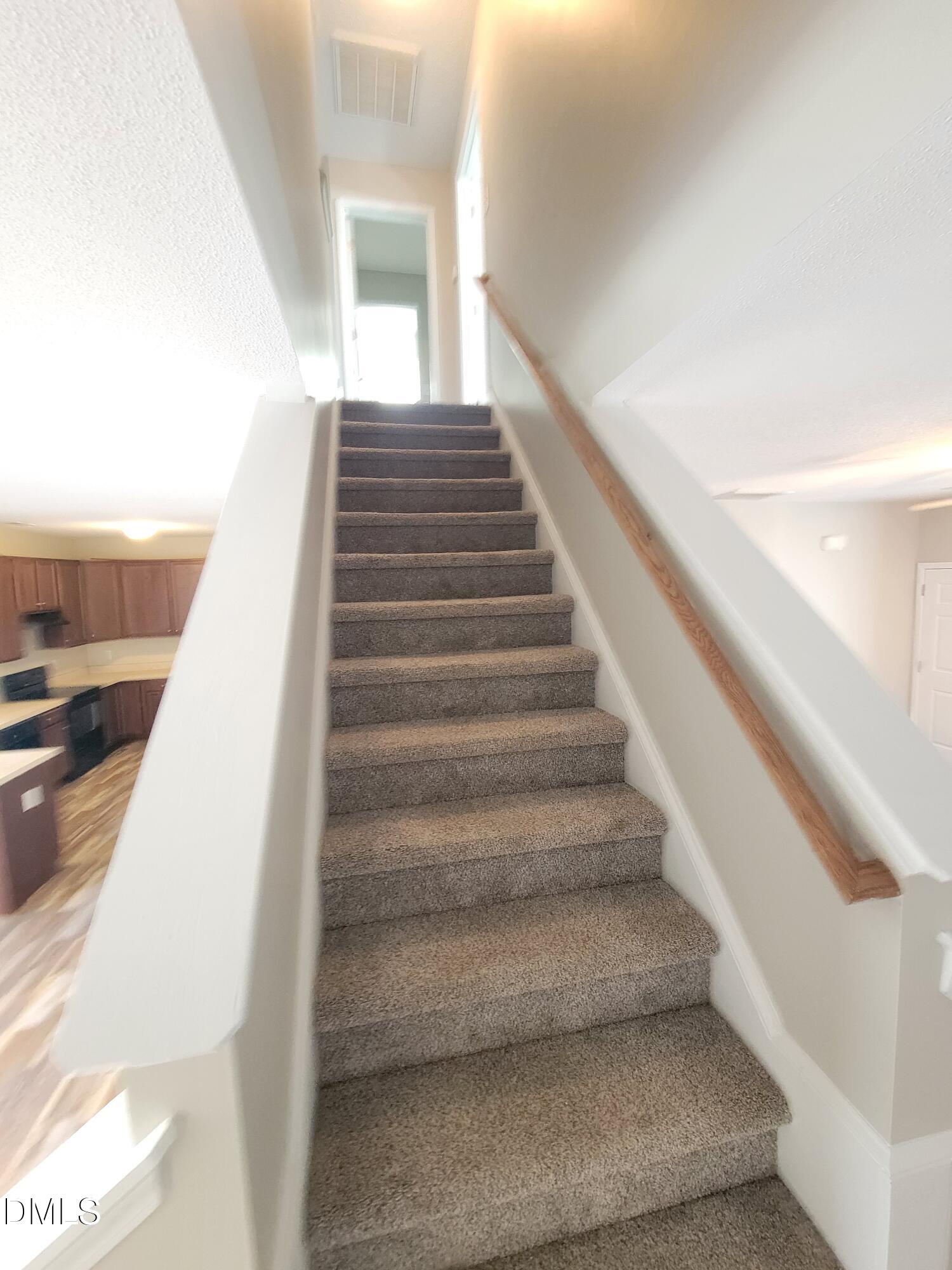 5217 Carnelian Drive Raleigh, NC 27610 - Photo 25 of 60 20250224_120338