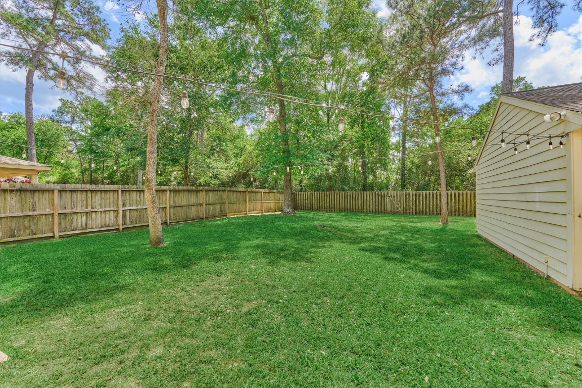 19 Greentwig Place Spring, TX 77381 - Photo 33 of 37 Lots of green space for play or pets.
