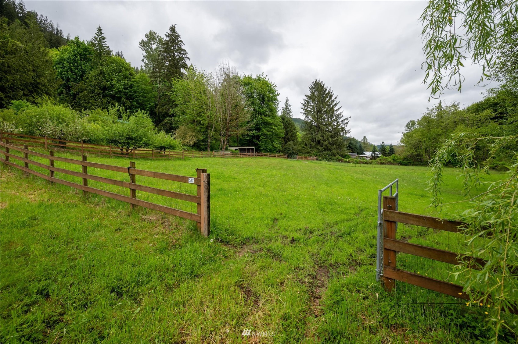 3373 Hillside Road Deming, WA 98244 - Photo 36 of 40 a view of a park with large trees