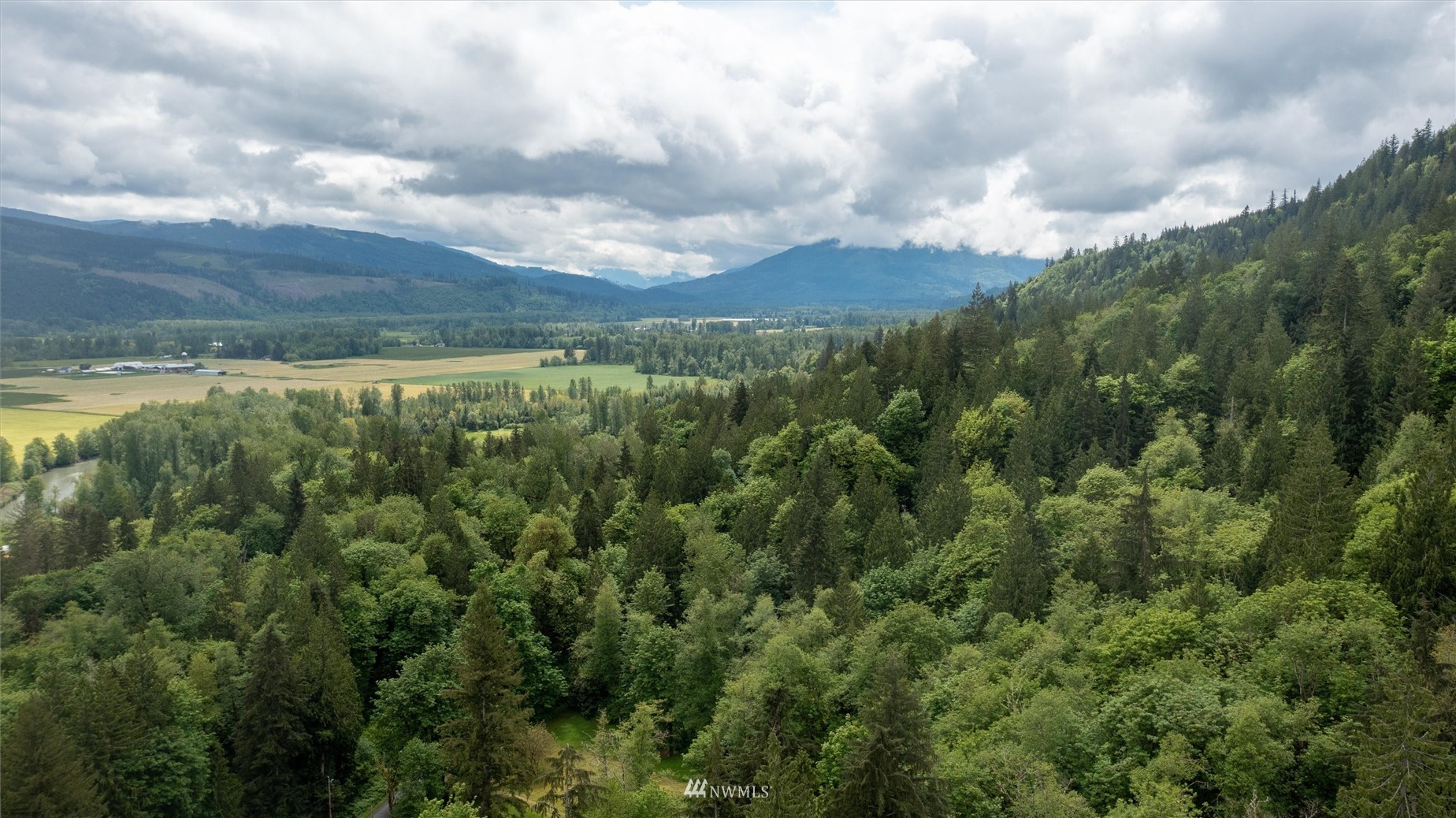3373 Hillside Road Deming, WA 98244 - Photo 40 of 40 a view of a green field with lots of bushes