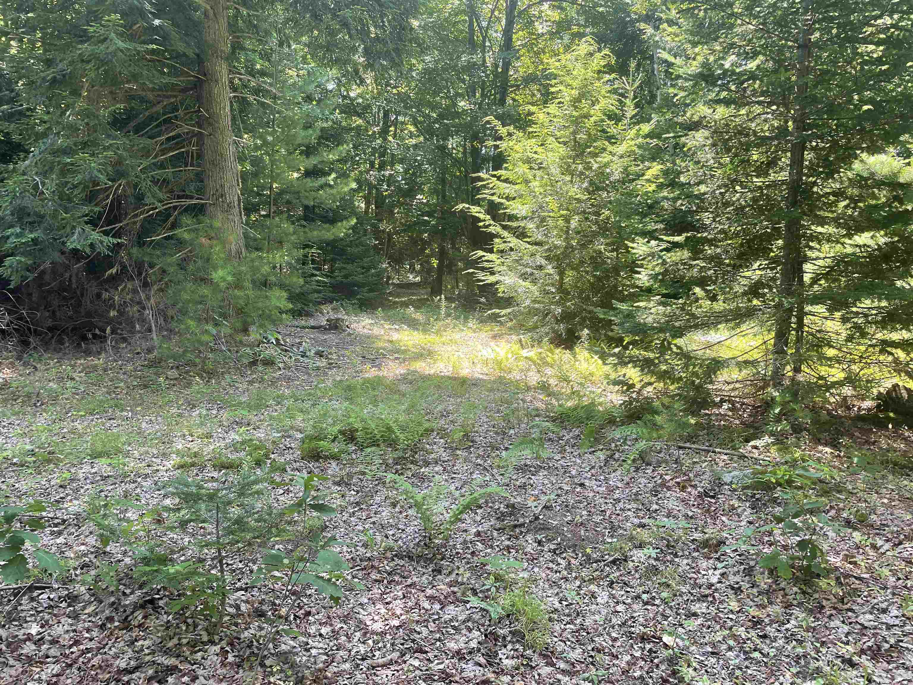 0 County Road Pike, NH 03780 - Photo 13 of 23 Gallery Image 13