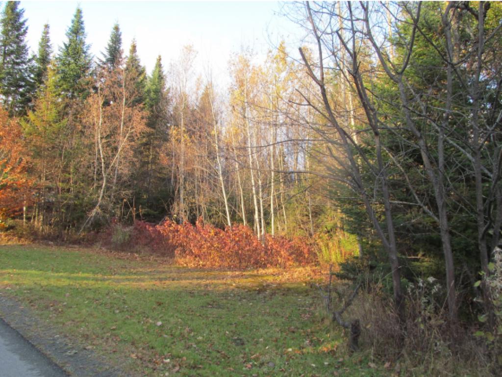 515 Beach Road Pittsburg, NH 03592 - Photo 11 of 12