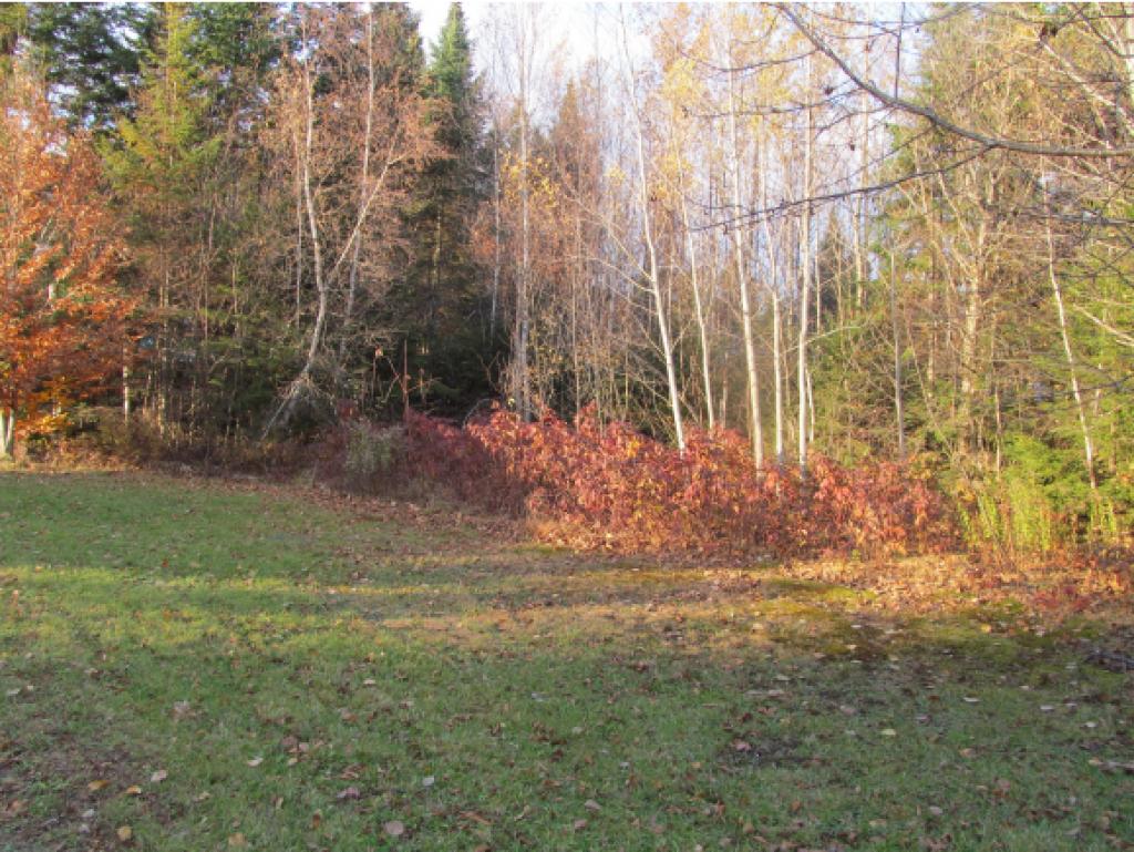 515 Beach Road Pittsburg, NH 03592 - Photo 12 of 12