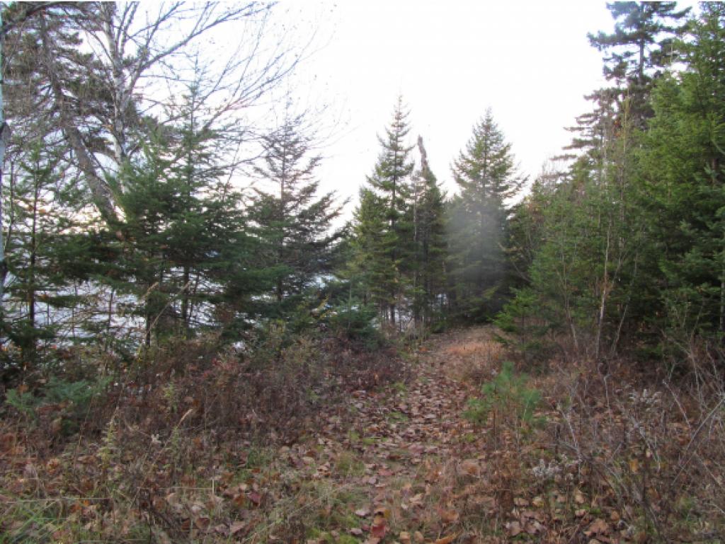 515 Beach Road Pittsburg, NH 03592 - Photo 7 of 12