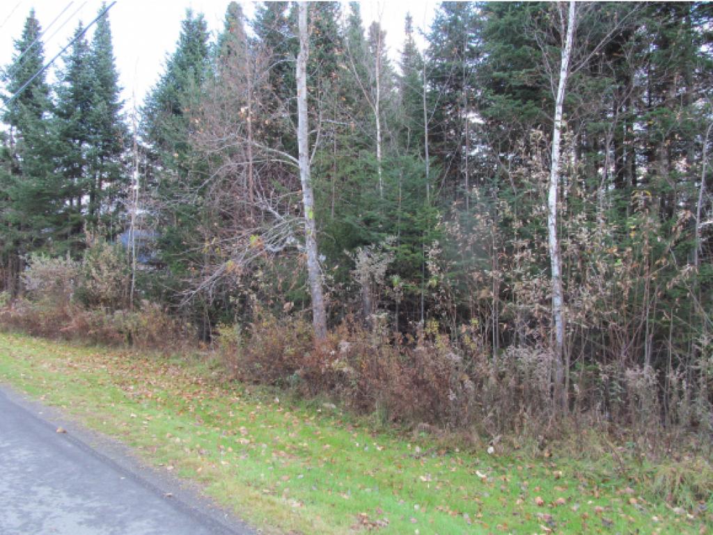 515 Beach Road Pittsburg, NH 03592 - Photo 10 of 12