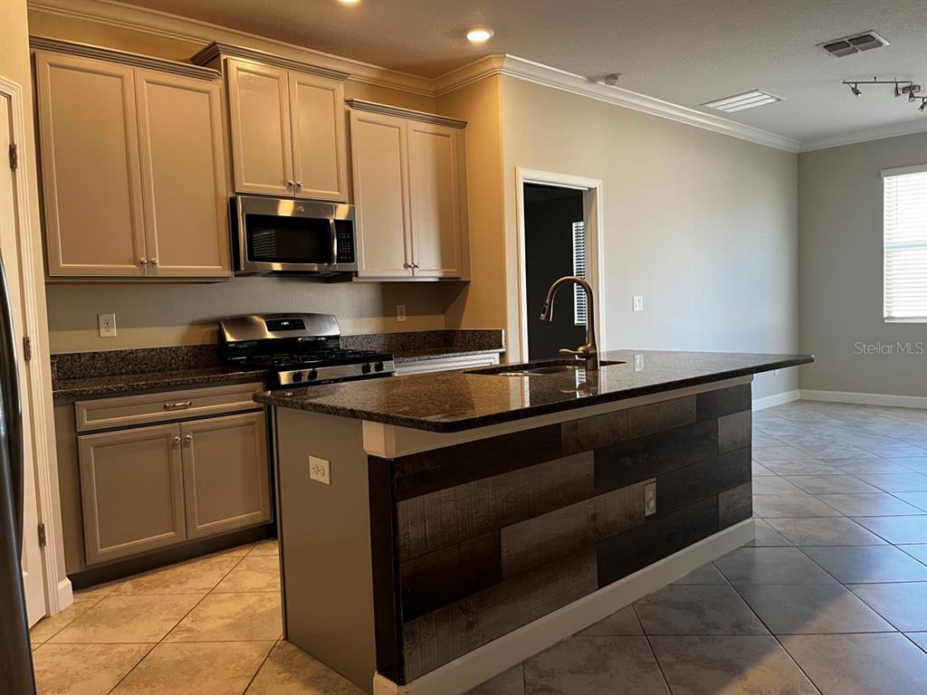 25195 Lambrusco Loop Lutz, FL 33559 - Photo 8 of 36 a kitchen with granite countertop a sink cabinets and stainless steel appliances