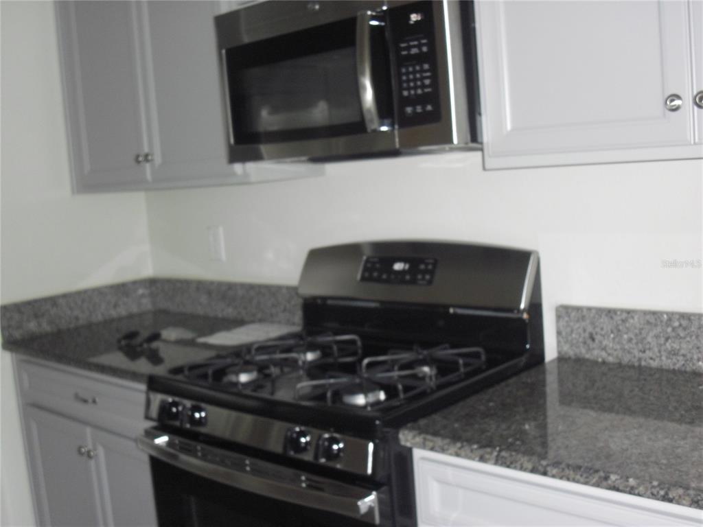 25195 Lambrusco Loop Lutz, FL 33559 - Photo 9 of 36 a kitchen with a stove and a microwave