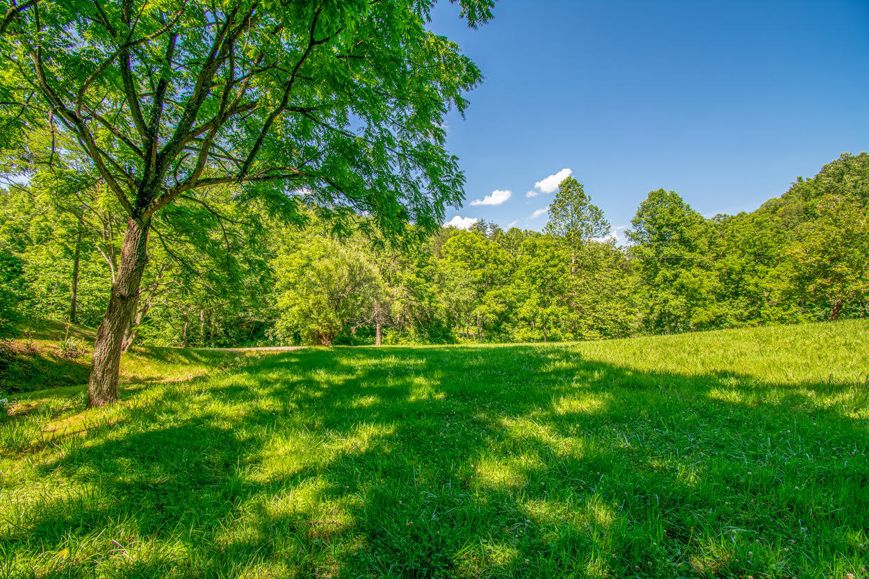 397 Church Hill Road Buchanan, VA 24066 - Photo 12 of 42 12