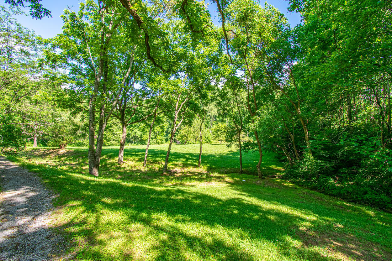 397 Church Hill Road Buchanan, VA 24066 - Photo 13 of 42 13