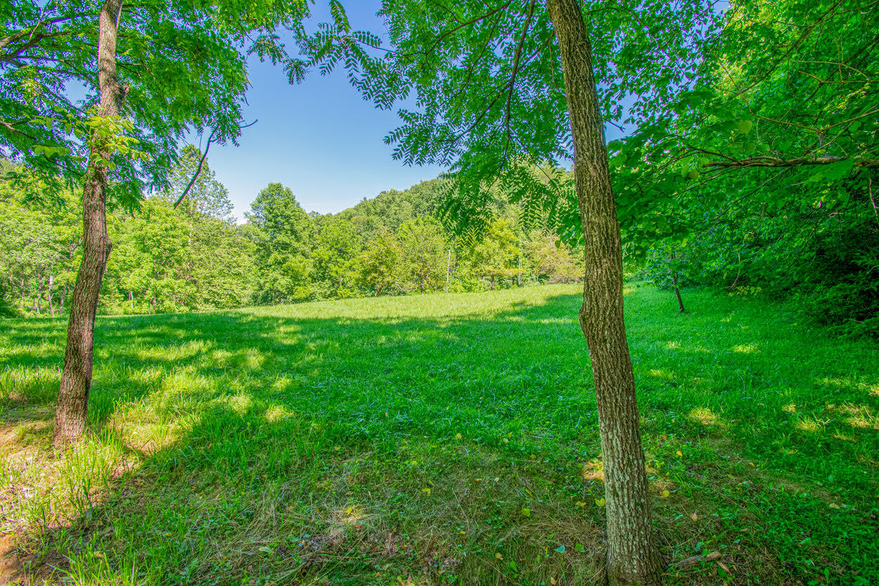 397 Church Hill Road Buchanan, VA 24066 - Photo 14 of 42 14