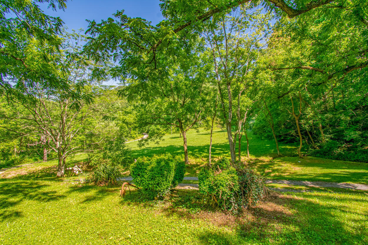 397 Church Hill Road Buchanan, VA 24066 - Photo 15 of 42 15