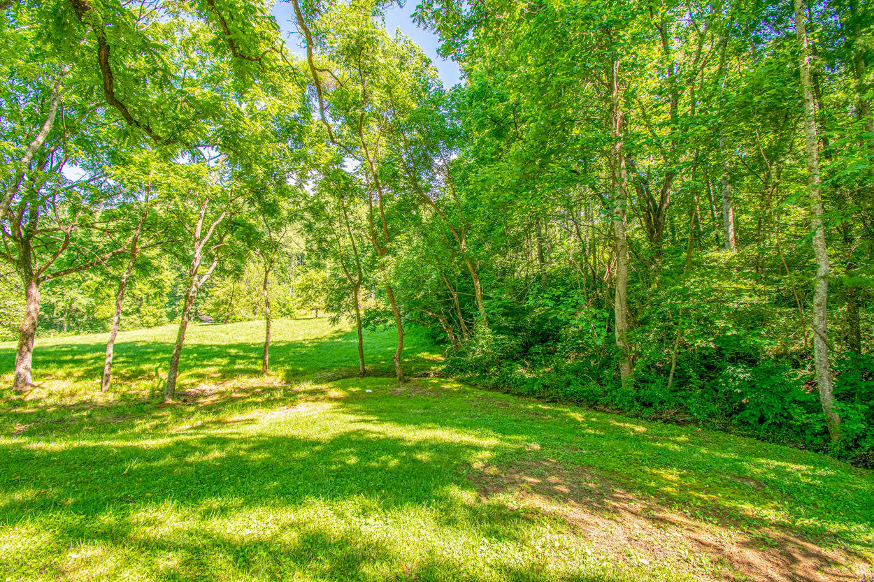 397 Church Hill Road Buchanan, VA 24066 - Photo 16 of 42 16