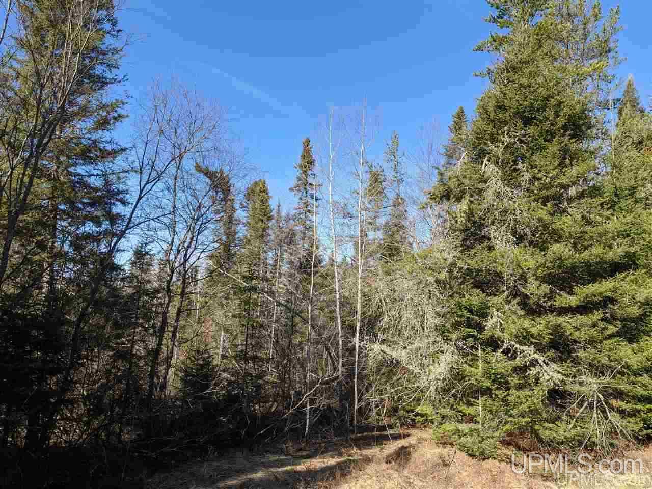 1 Little Bull Road, Unit N1/2NW1/4 Crystal Falls, MI 49920 - Photo 8 of 13