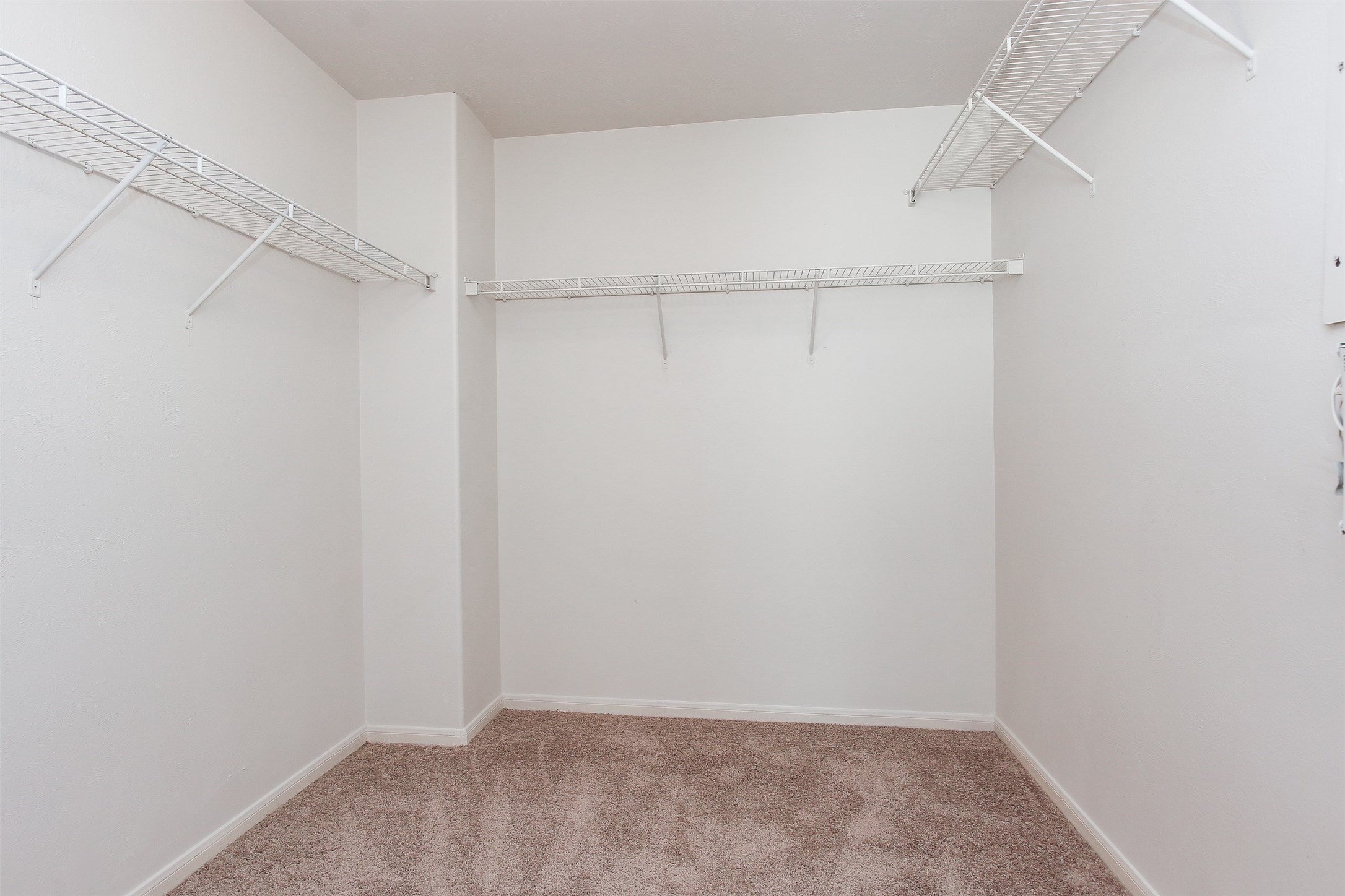 6103 Menor Crest Drive Spring, TX 77388 - Photo 30 of 41 Huge primary closet