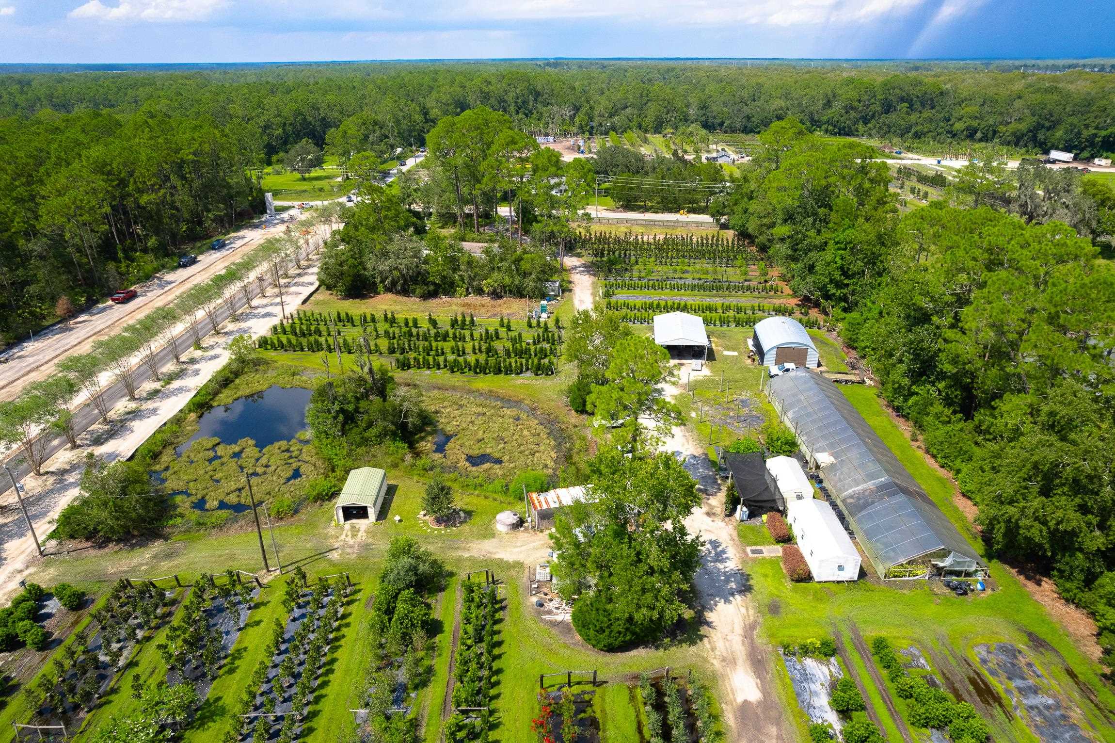 a view of a yard with plants