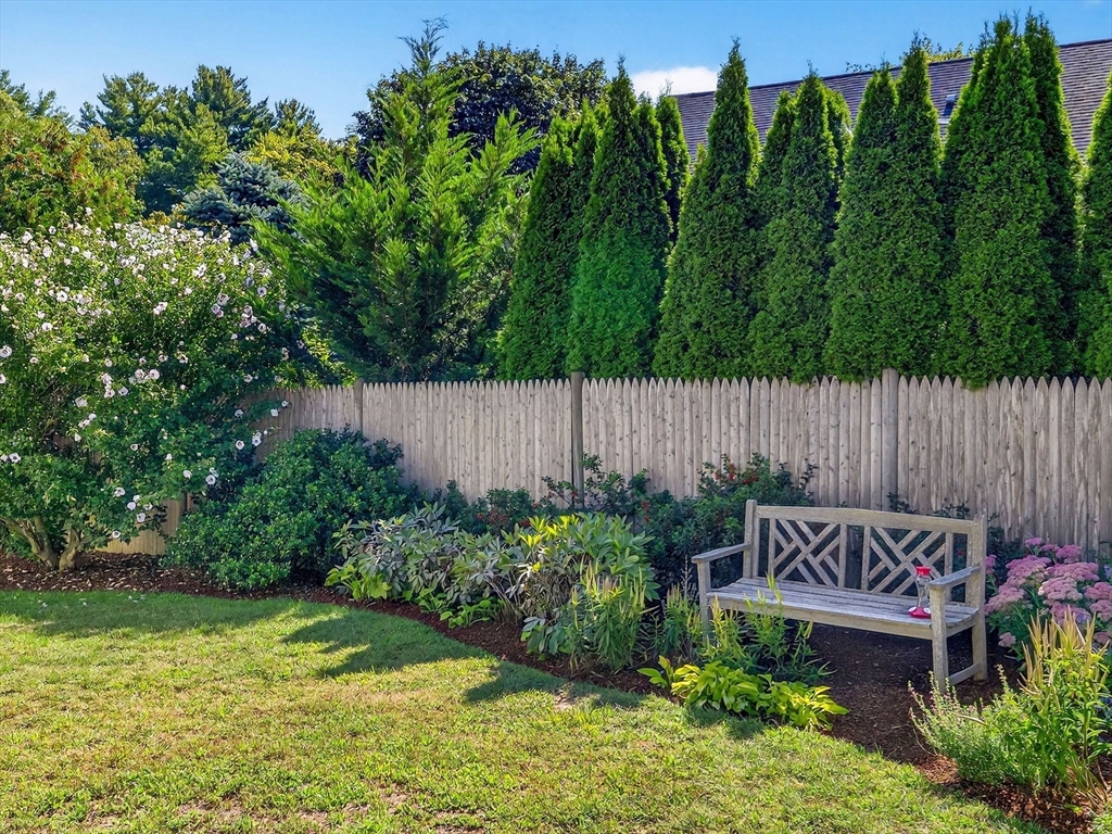 39 Twitchell Street Wellesley, MA 02482 - Photo 23 of 37