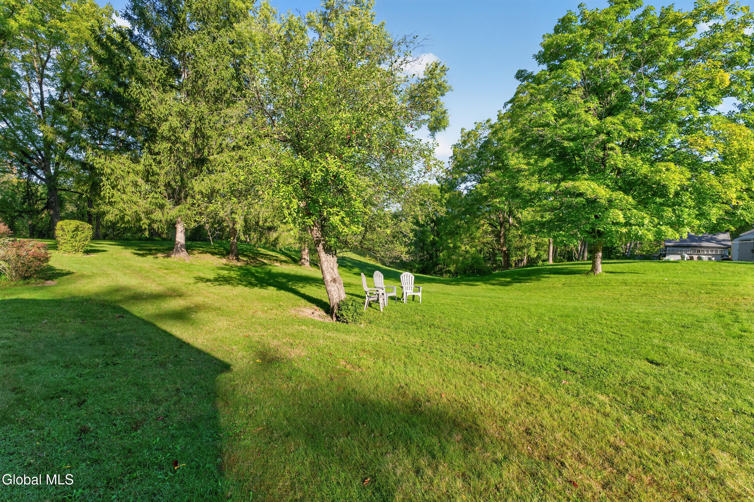 82 Salisbury Road Bethlehem, NY 12054 - Photo 32 of 37 Yard 3