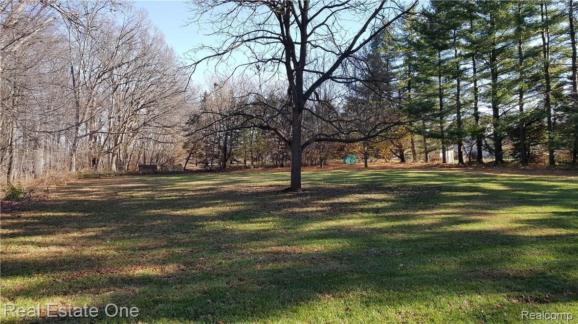 Large yard backing to newer subdivision