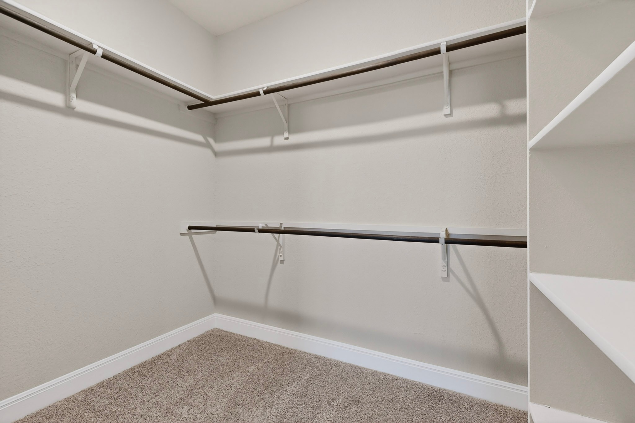 16809 Guido Cove Pflugerville, TX 78660 - Photo 21 of 40 Walk-in closet featuring multiple hanging rods, integrated shelving, and carpet flooring