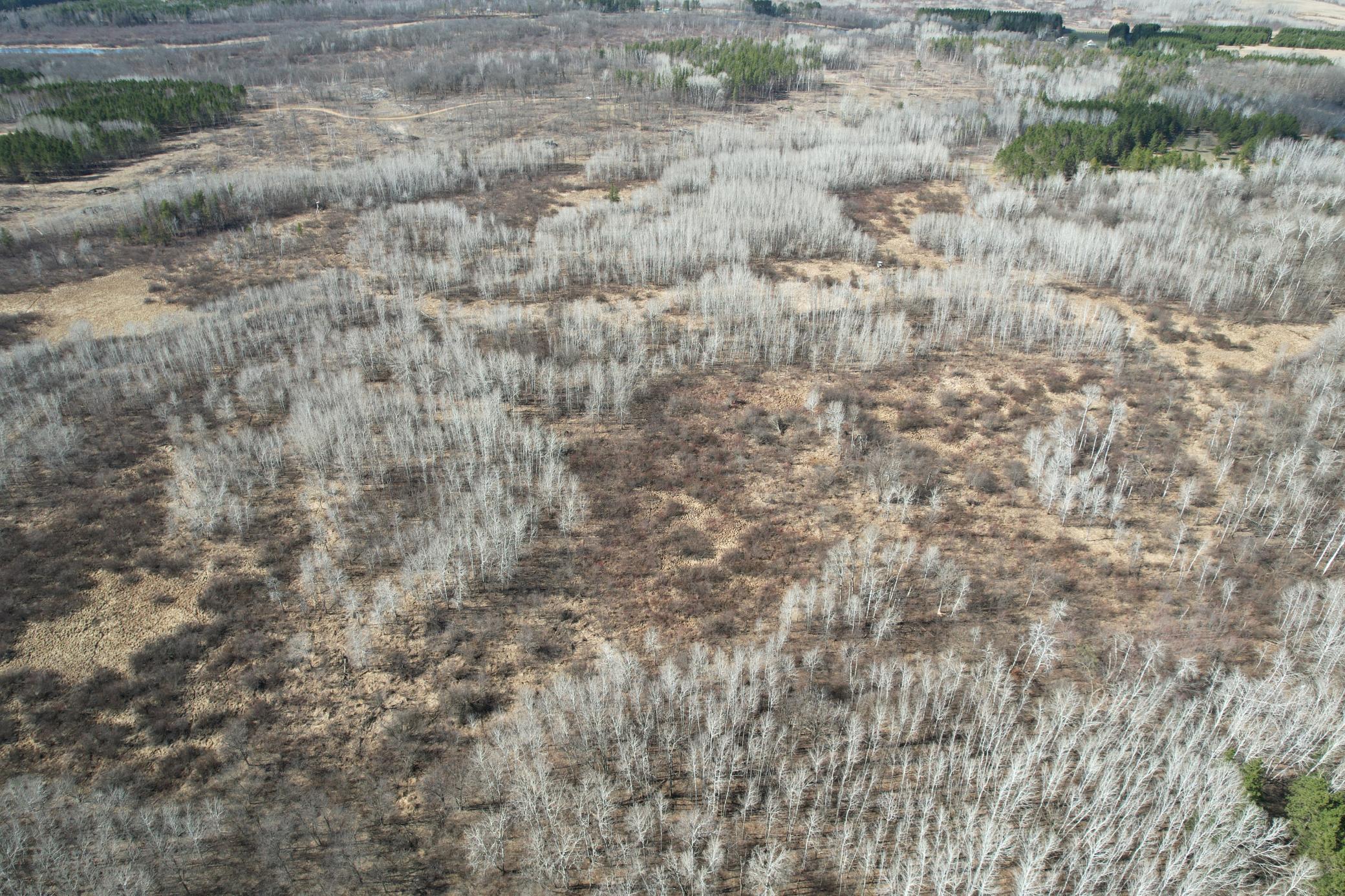 Tbd Anderson Crossing Road Sebeka, MN 56477 - Photo 11 of 55