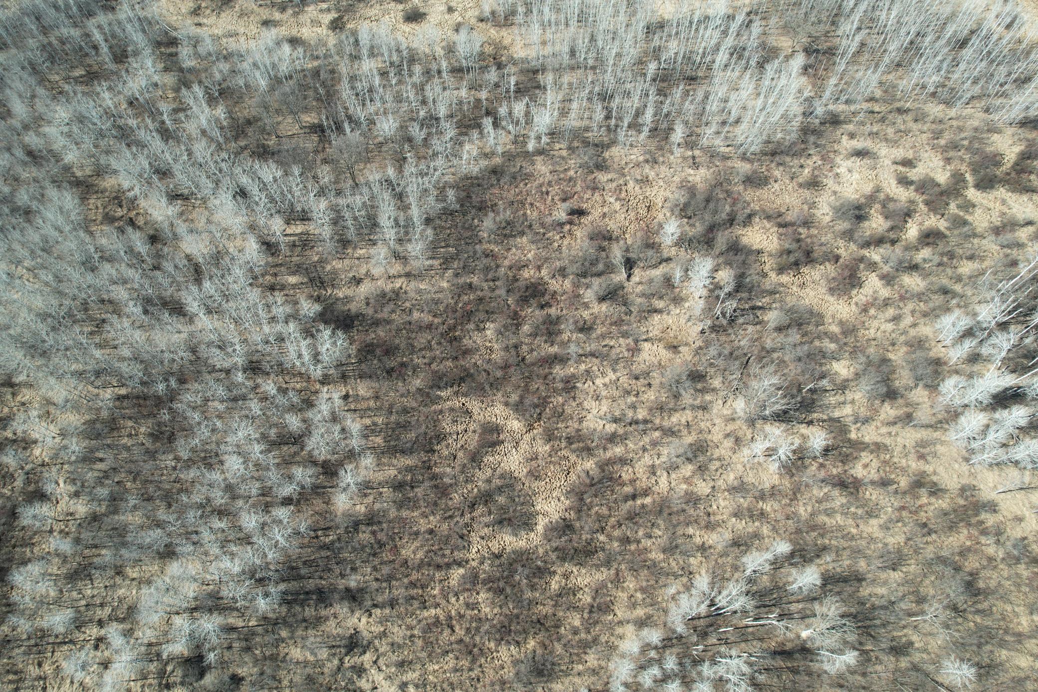 Tbd Anderson Crossing Road Sebeka, MN 56477 - Photo 12 of 55