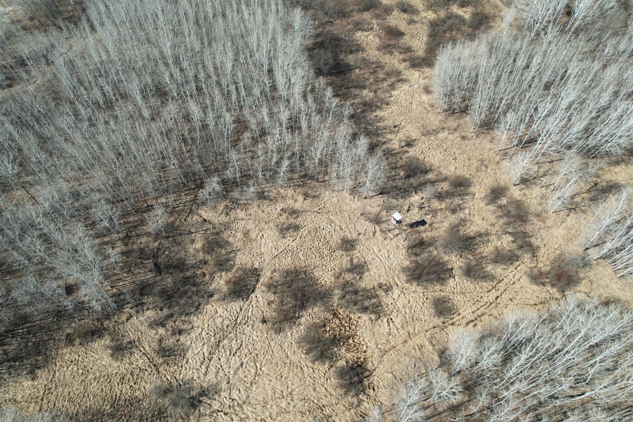 Tbd Anderson Crossing Road Sebeka, MN 56477 - Photo 13 of 55