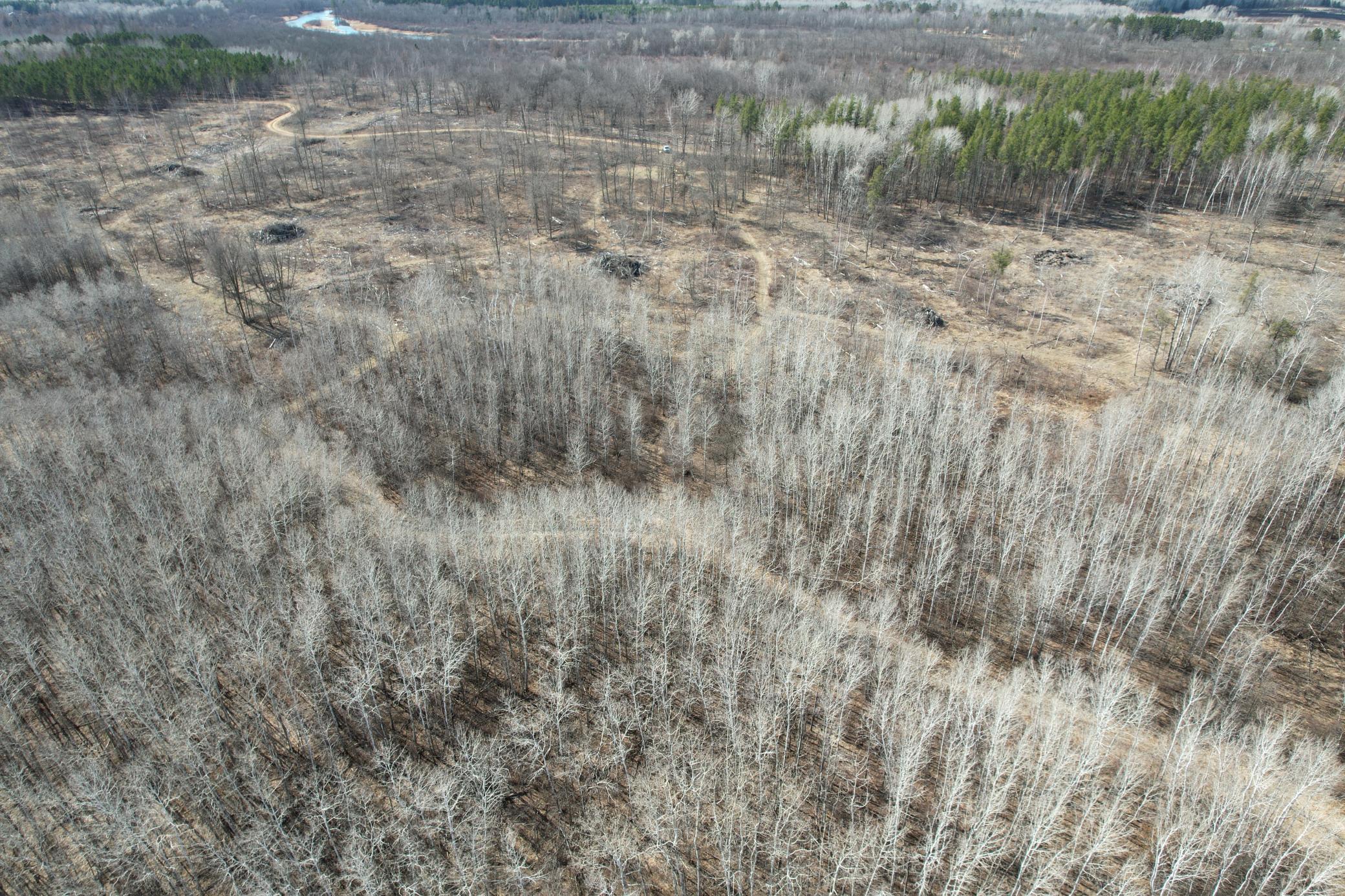 Tbd Anderson Crossing Road Sebeka, MN 56477 - Photo 14 of 55