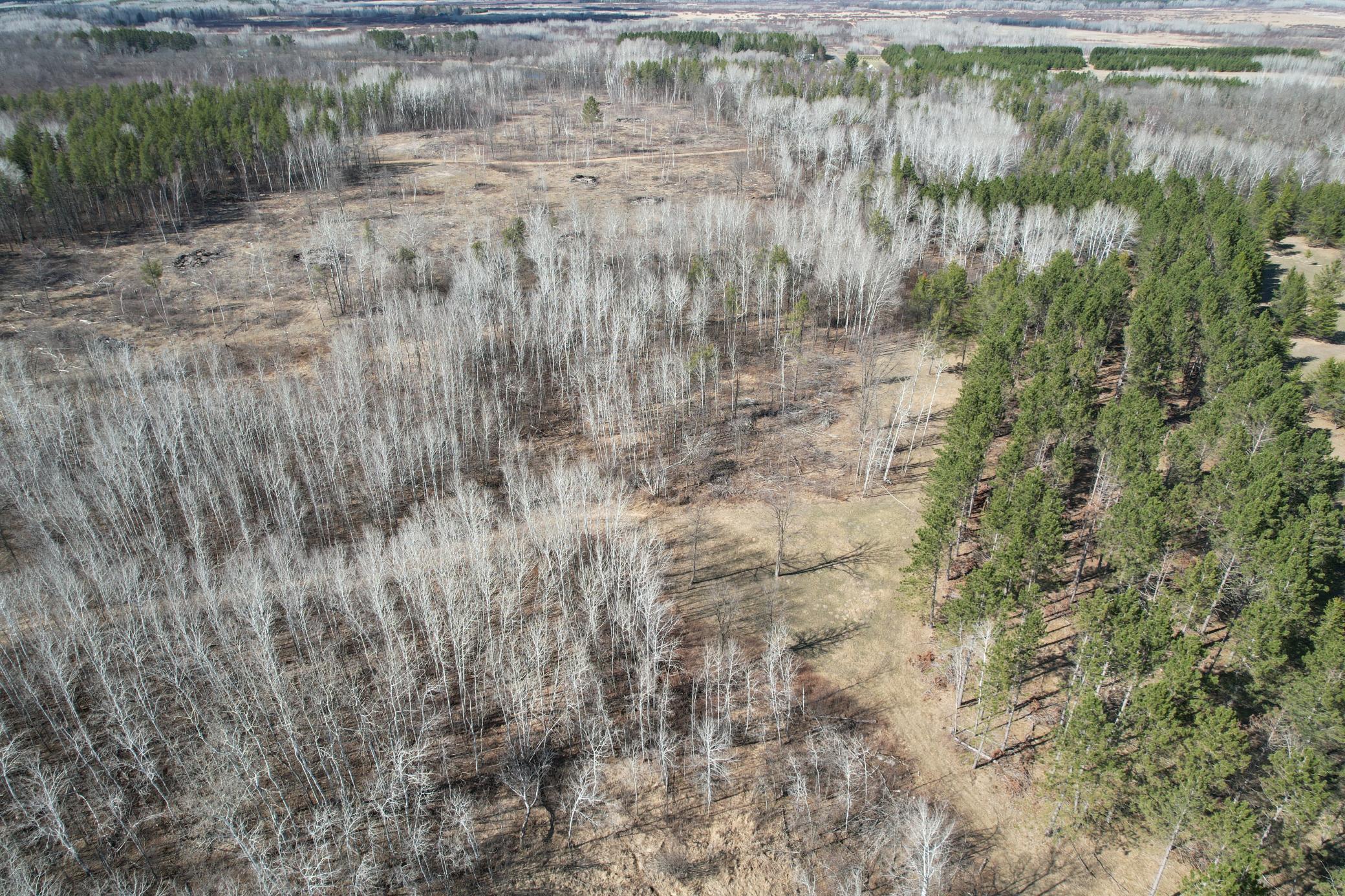 Tbd Anderson Crossing Road Sebeka, MN 56477 - Photo 15 of 55