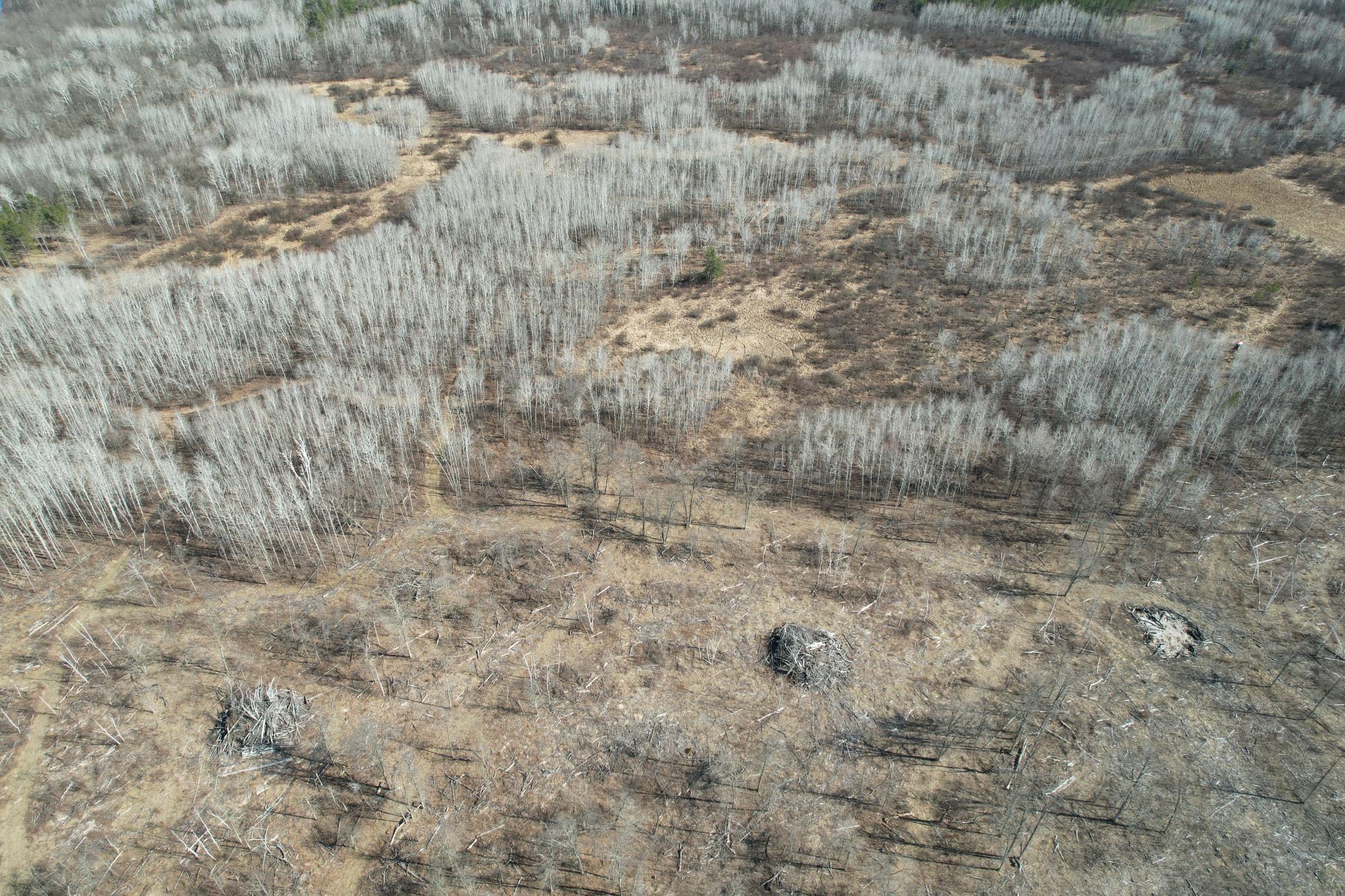 Tbd Anderson Crossing Road Sebeka, MN 56477 - Photo 2 of 55