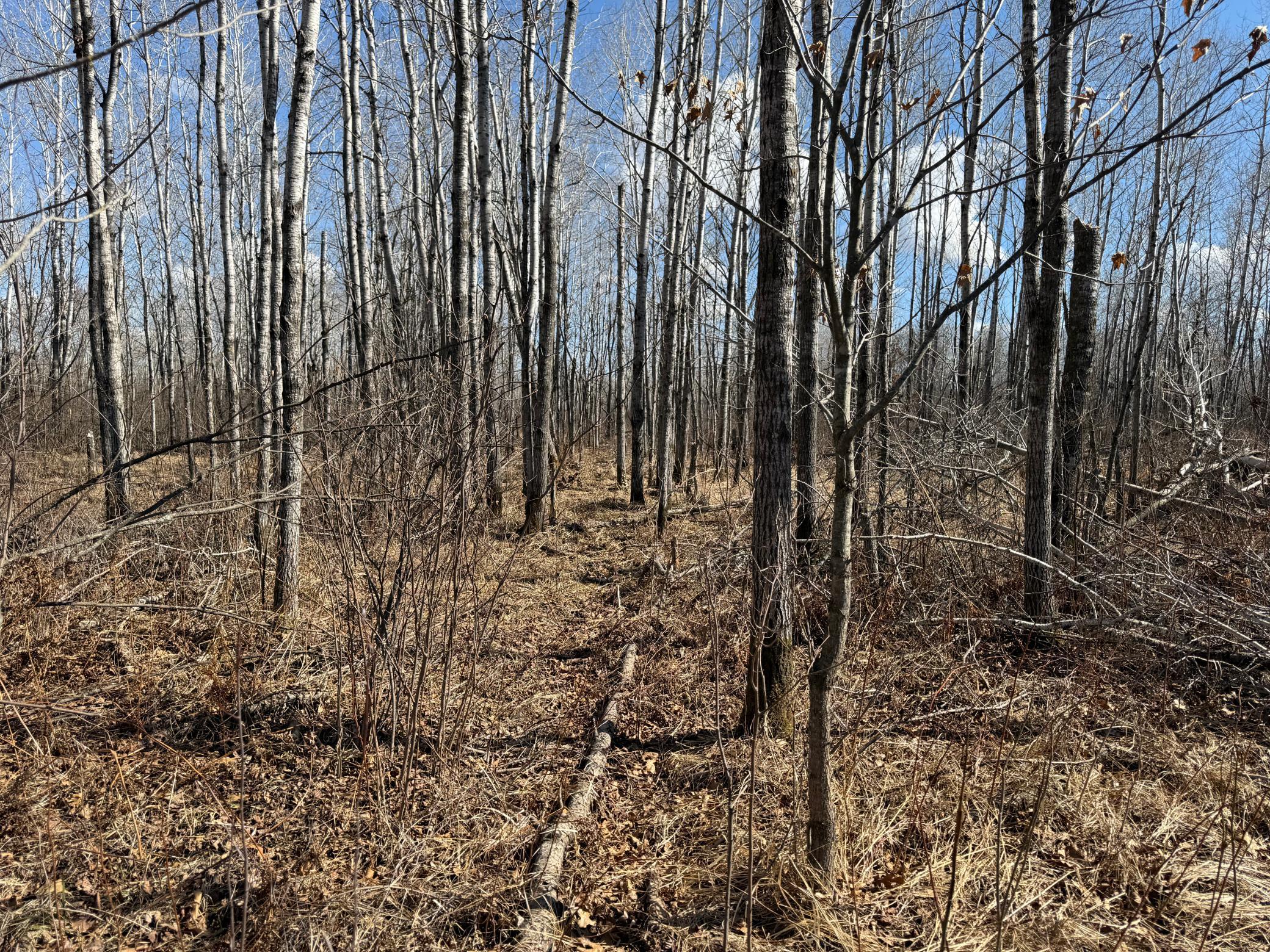Tbd Anderson Crossing Road Sebeka, MN 56477 - Photo 22 of 55